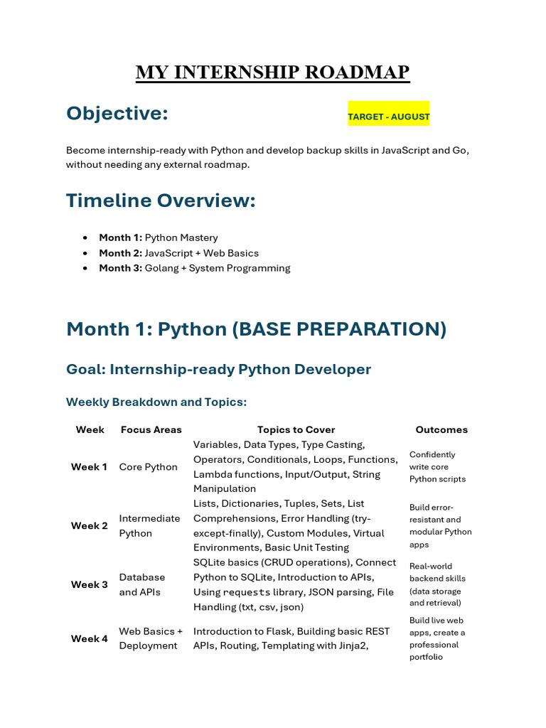 Internship Roadmap: Python to Go Skills | PDF | Python (Programming ...
