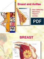 Breast and axillae exam guide