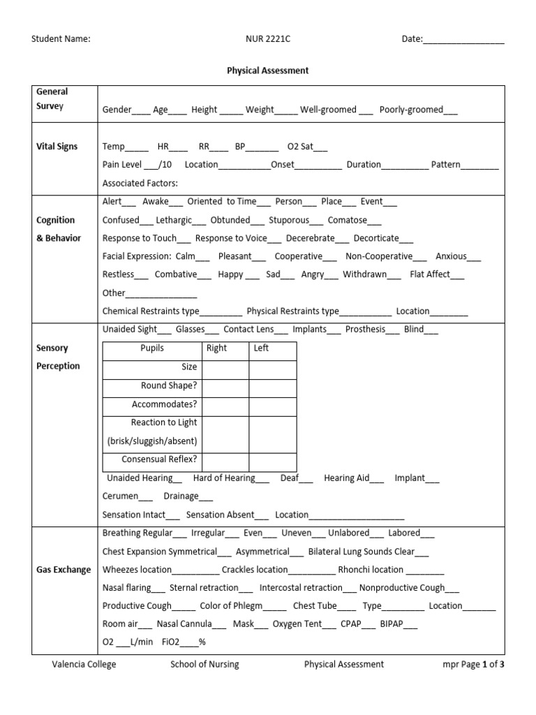 Nursing Student Physical Assessment Form | PDF | Senses | Perception
