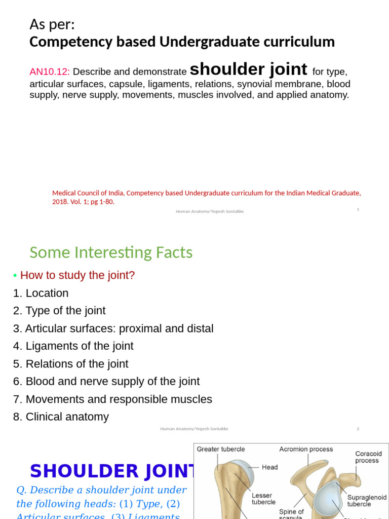 Comprehensive Guide to Shoulder Anatomy | PDF | Shoulder | Limbs (Anatomy)