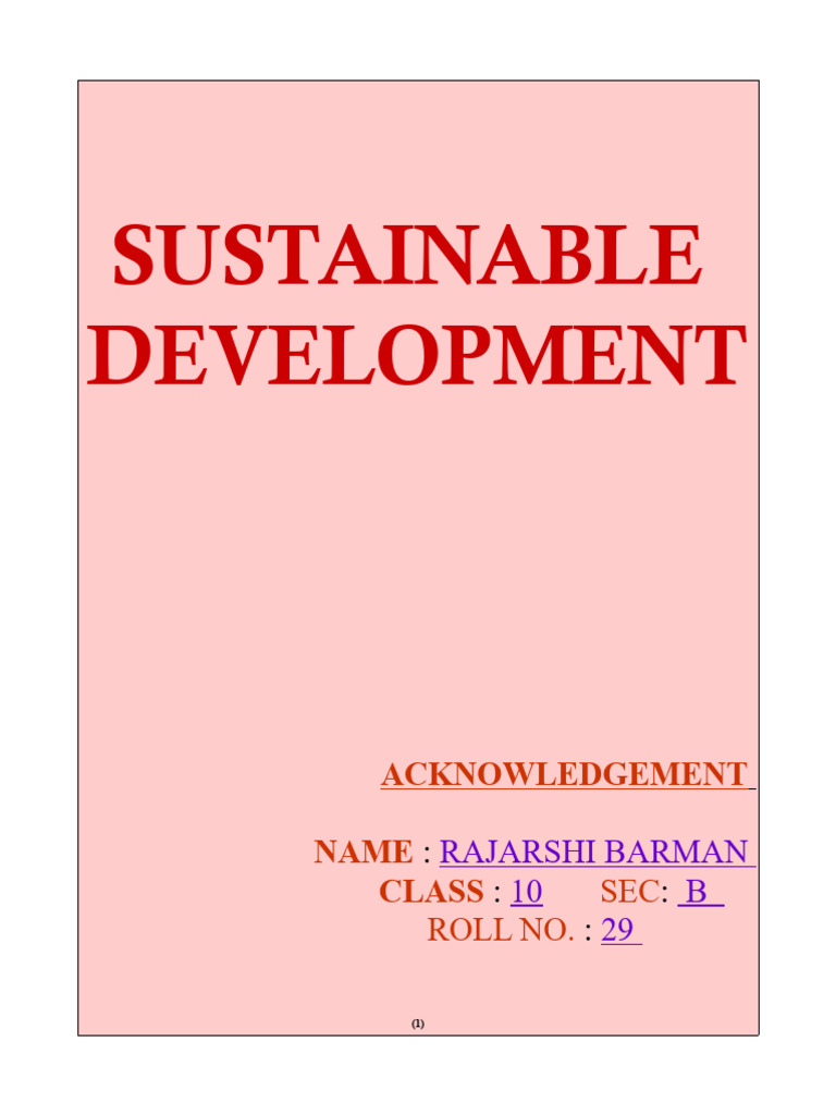 Understanding Sustainable Development | PDF | Sustainability ...