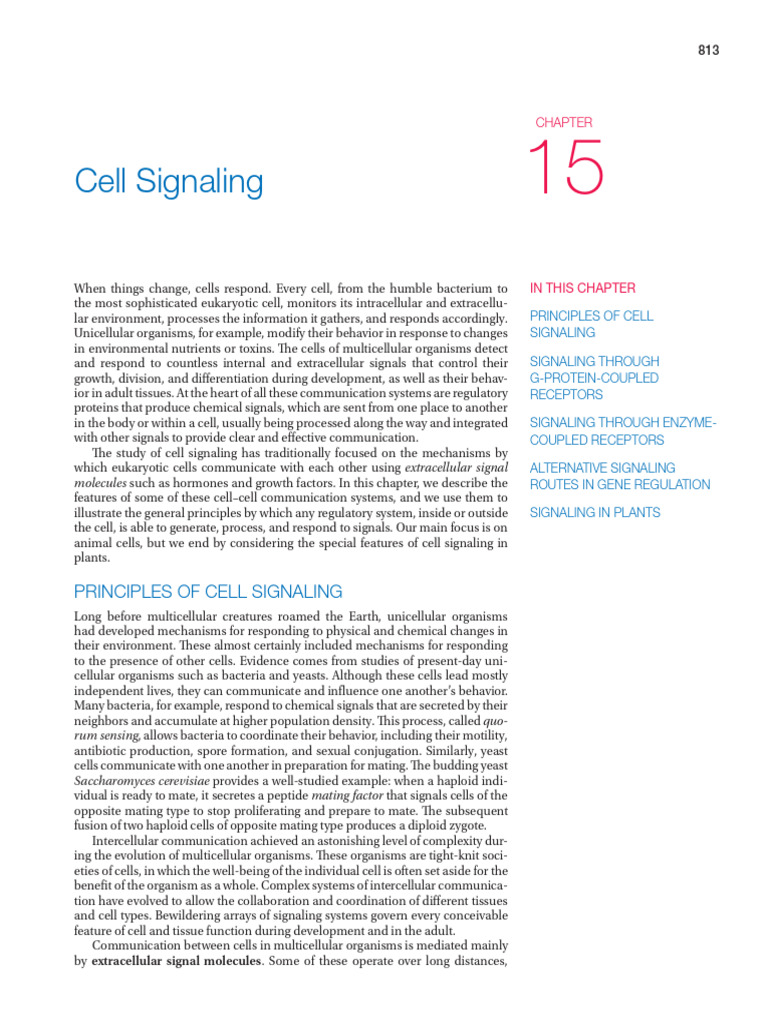 Principles of Cell Signaling | PDF