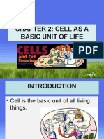 Chapter 2: Cell As A Basic Unit of Life