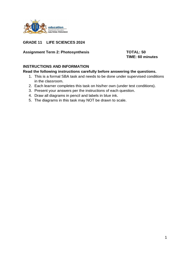 Grade 11 Photosynthesis Assignment 2024 | PDF | Photosynthesis | Leaf