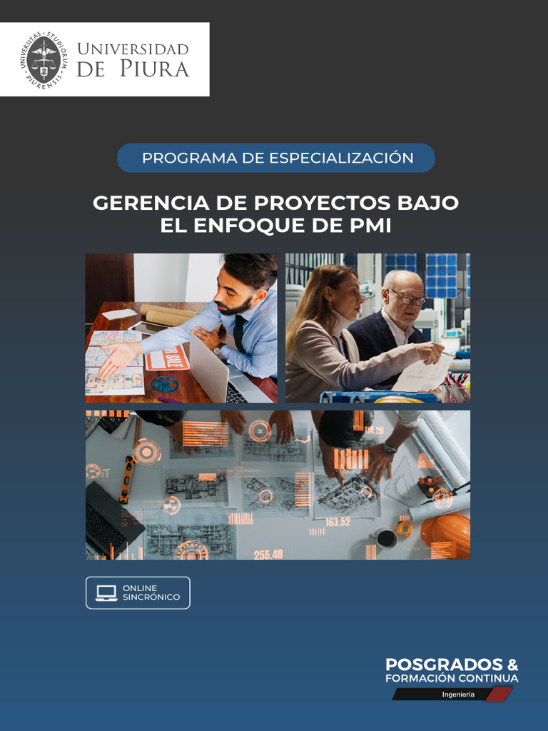 Especialización en Gerencia de Proyectos PMI | PDF | Gestión de ...