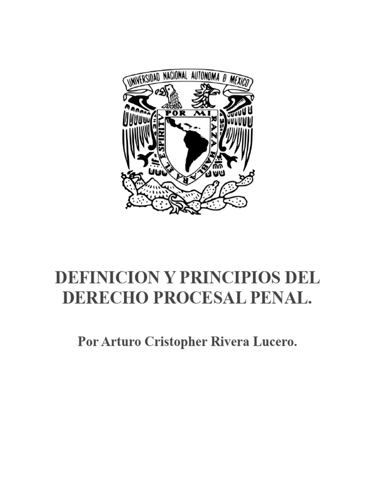 Principios del Derecho Procesal Penal | PDF | Ley procesal | Debido al ...