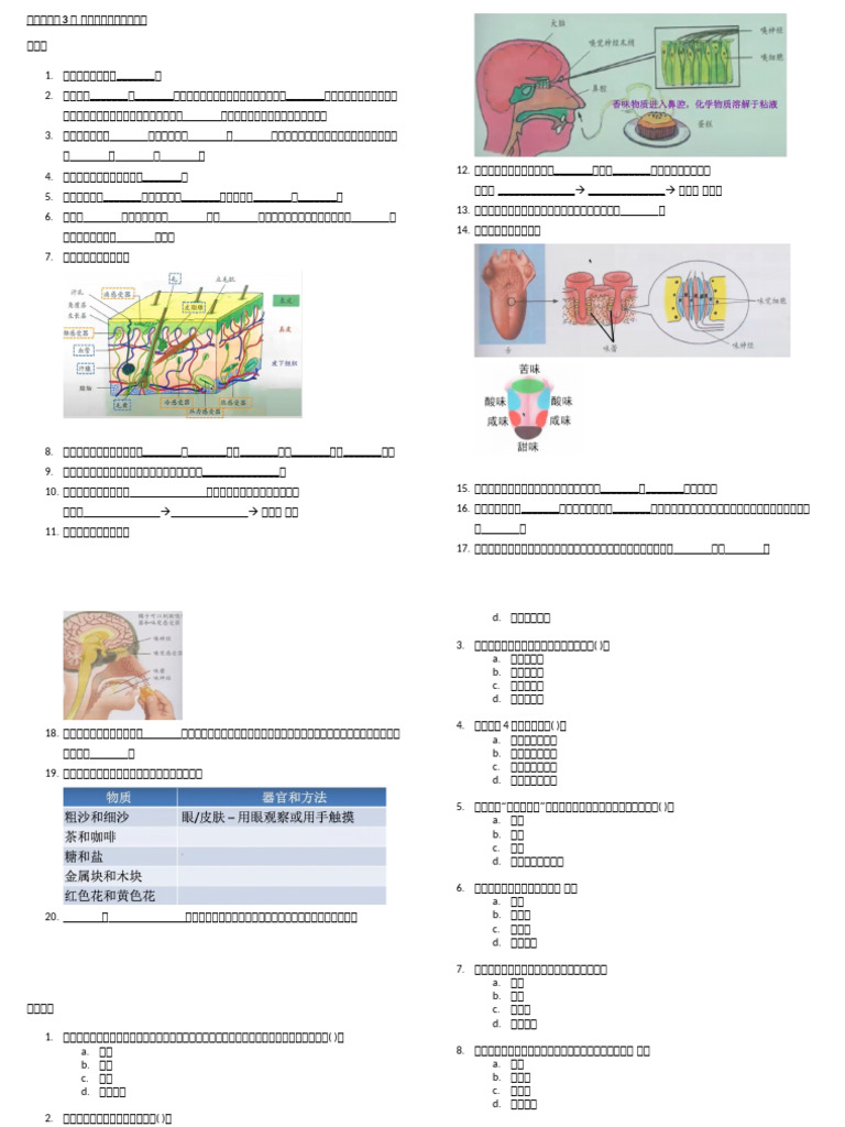 3D 打印亚洲人类表皮角质形成细胞（用于体外） - Atlantis Bioscience Pte Ltd, image size:768x1024