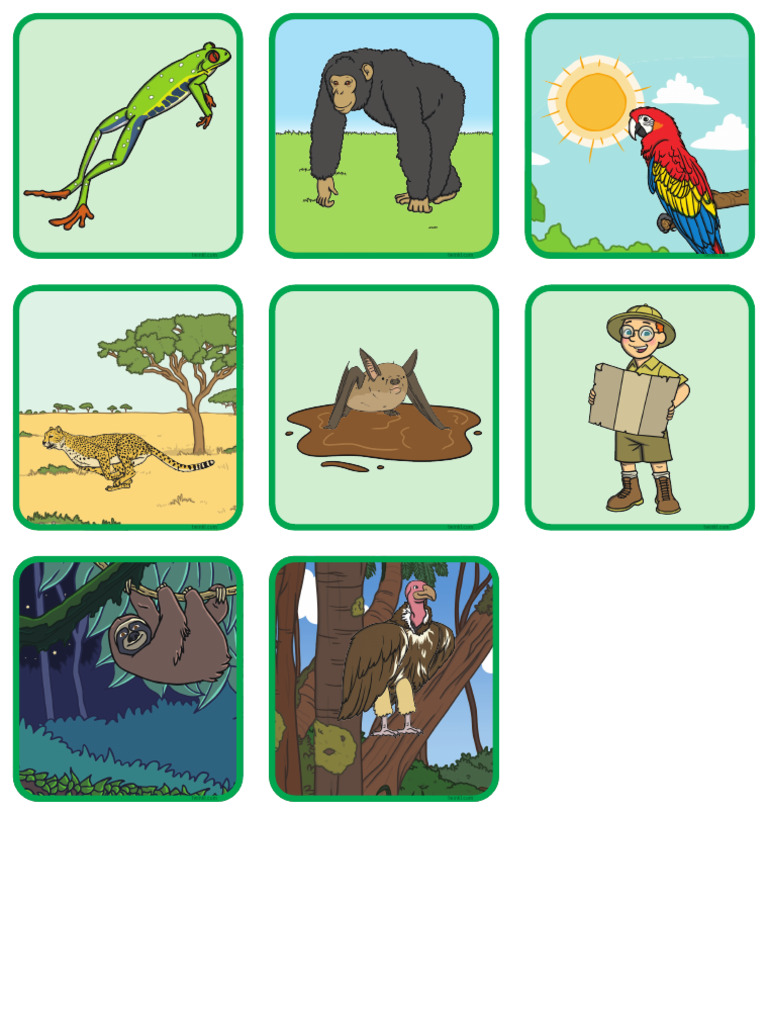 Picture Cards | PDF