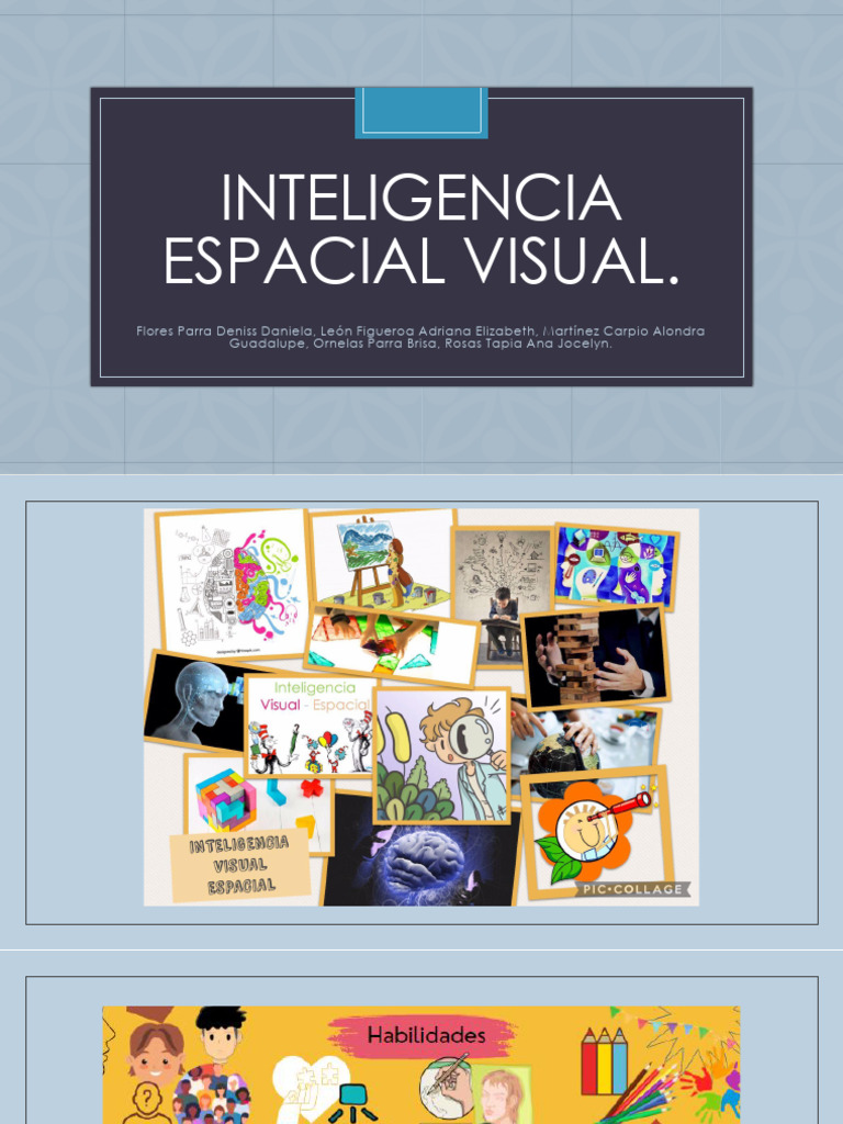 Inteligencia Espacial Visual | PDF