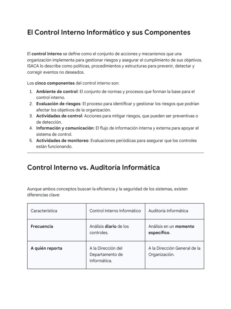 Componentes del Control Interno Informático | PDF | Informática | Software