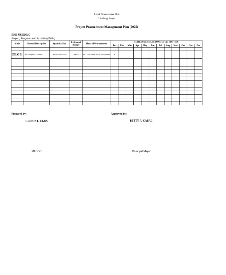 PPMP Format 2025 for Local Government | PDF
