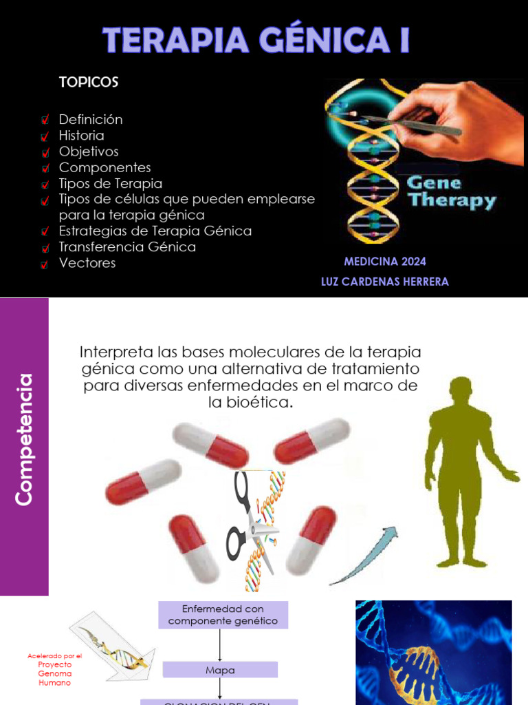 Teoria 40 - 42 - Terapia Genica I | PDF | Terapia de genes | Adn