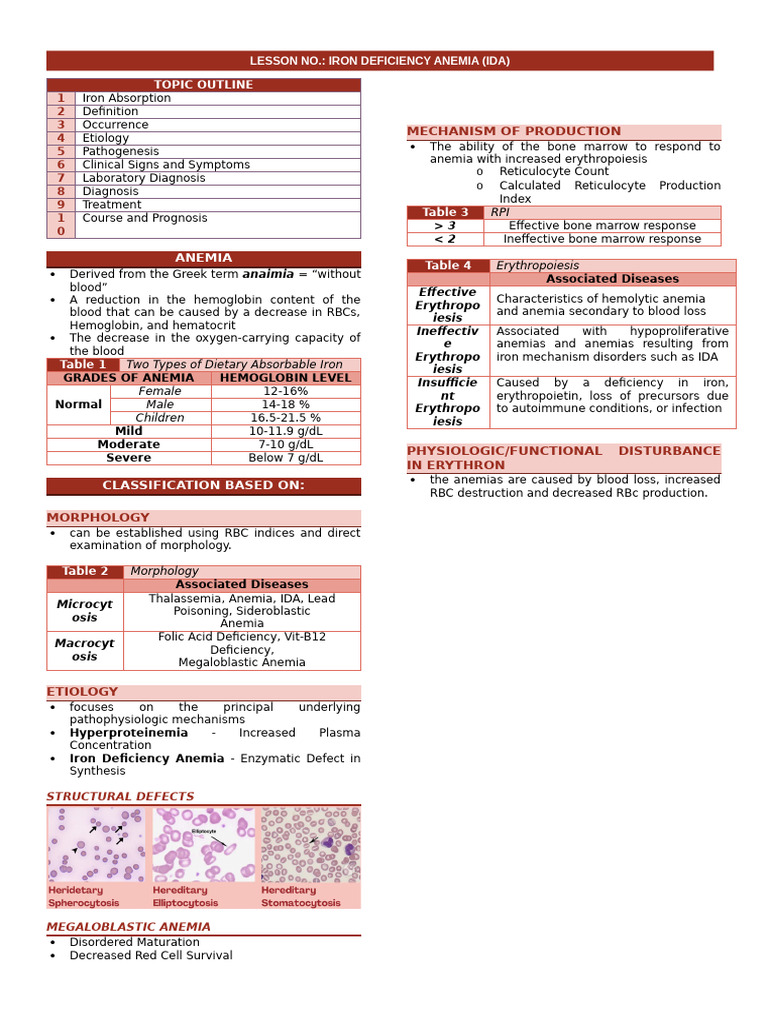 Understanding Iron Deficiency Anemia | PDF | Anemia | Clinical Medicine