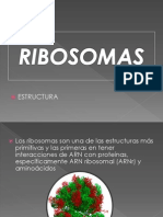 Expo Lista Ribosomas