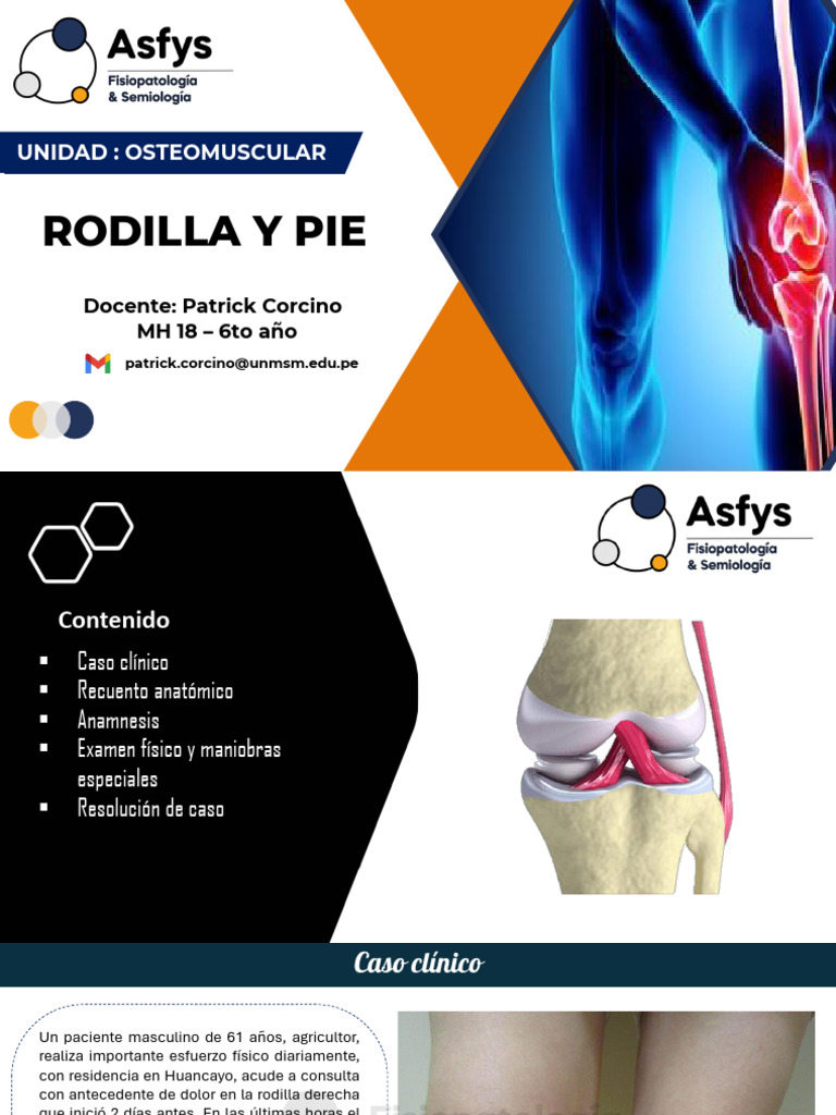 6. Rodilla y pie | PDF | Rodilla | Pie