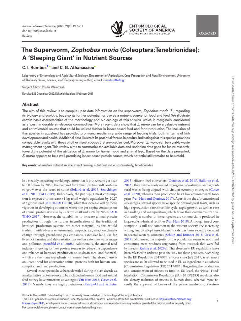 The Superworm, Zophobas Morio (Coleoptera - Tenebrionidae) - A ...