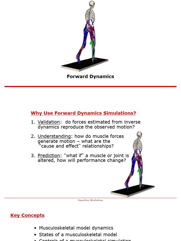 010_ForwardDynamics | PDF | Force | Velocity