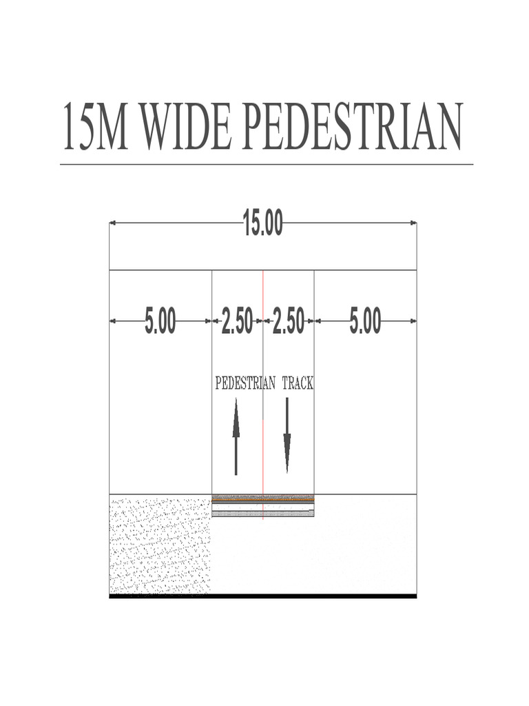 15 M Pedestrian | PDF