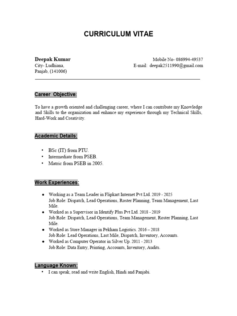 Deepak Kumar's Professional CV | PDF