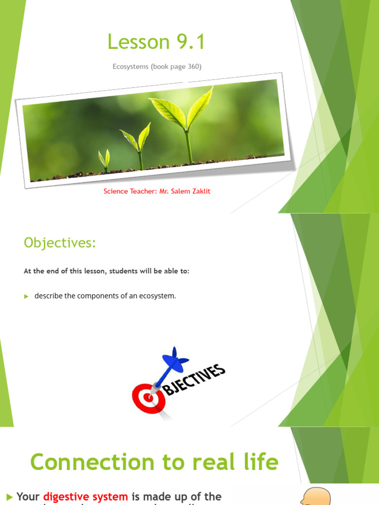 Understanding Ecosystem Components | PDF | Ecosystem | Plants