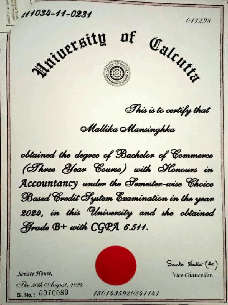 Cu Final Degree | PDF
