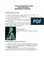 WWW - Referat.ro-Riscul Branzei Roquefort Asupra Consumatorului Roquefortina Si Toxina PR11b28d