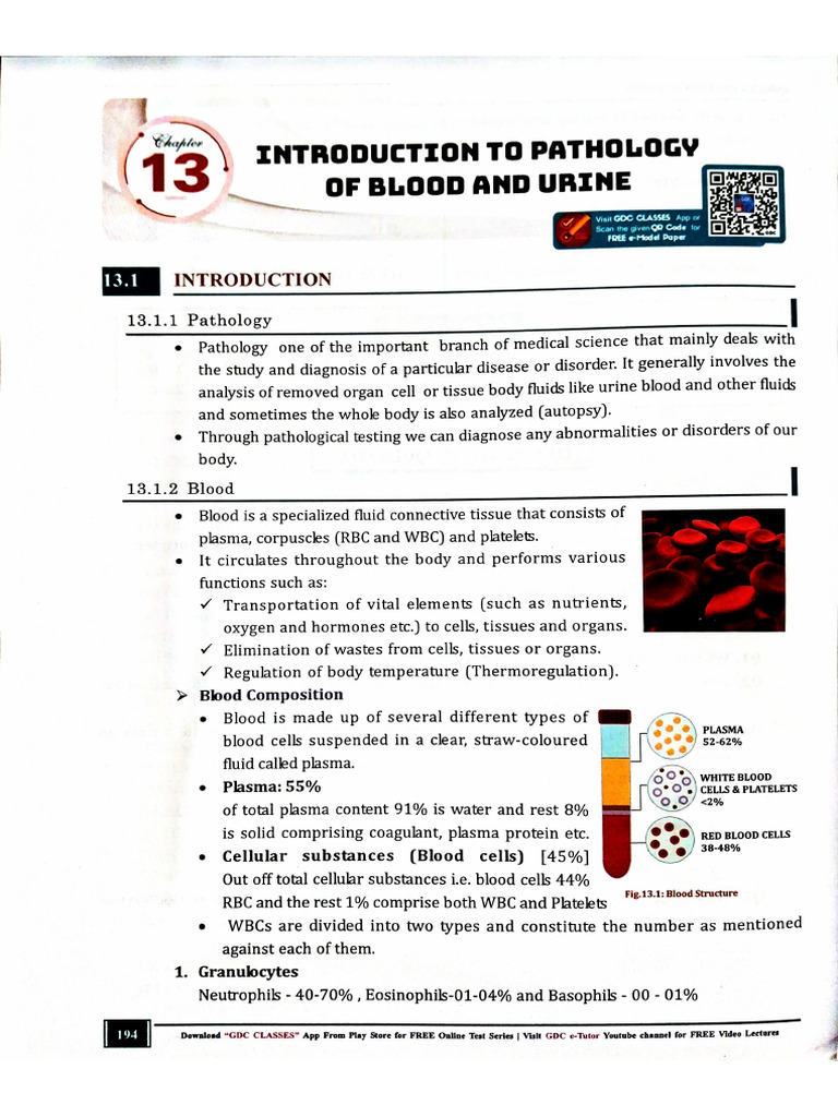 13 1 | PDF