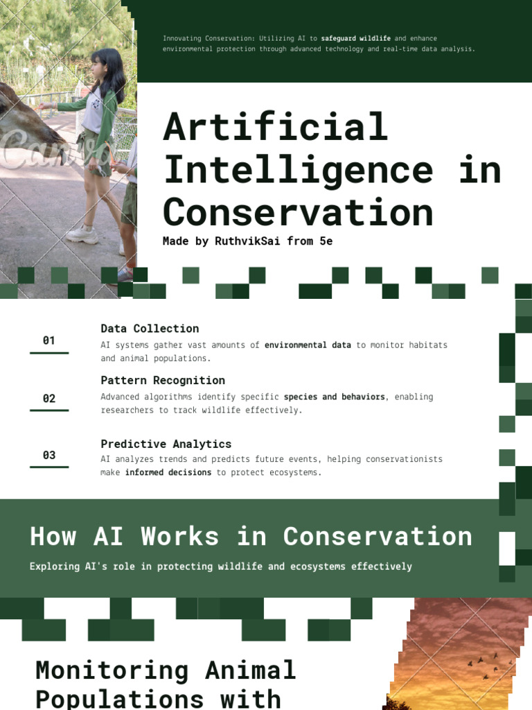 AI Innovations in Wildlife Conservation | PDF