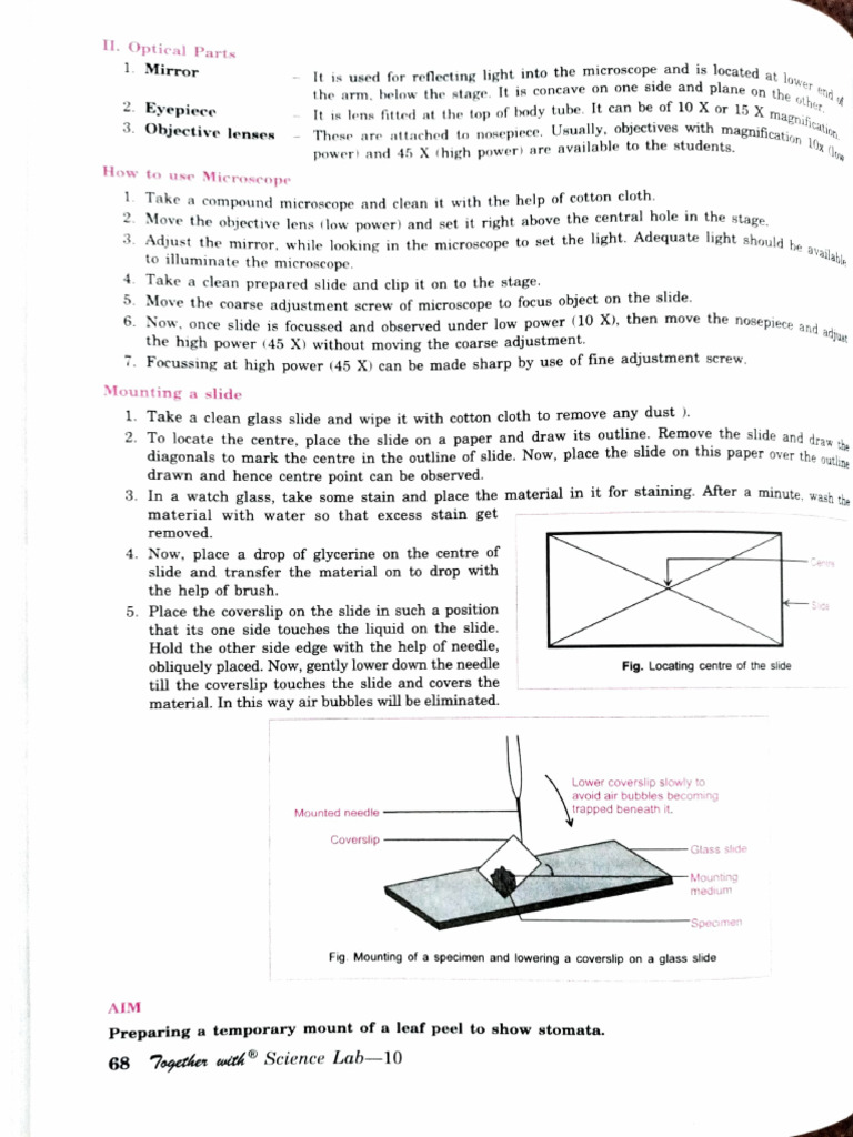 Microscope Use and Stomata Observation | PDF | Seed | Cellular Respiration