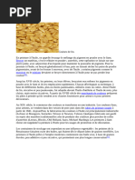 Raphaël Kevrin Brush - Fan, Long Handle, Size 12 BLICK Art Materials