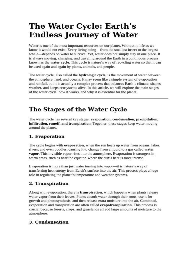 Understanding the Water Cycle | PDF | Water Cycle | Water