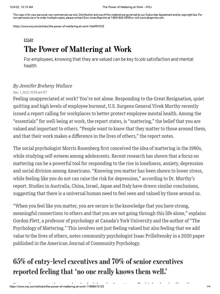 Mattering's Impact on Workplace Well-Being | PDF | Loneliness | Job ...