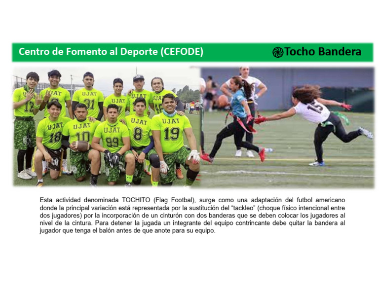 Tocho Bandera | PDF