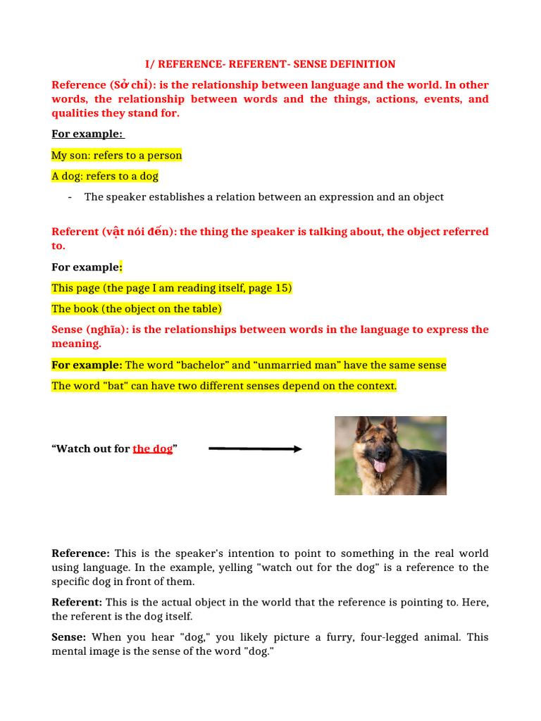 Understanding Reference and Referent | PDF | Linguistic Typology ...