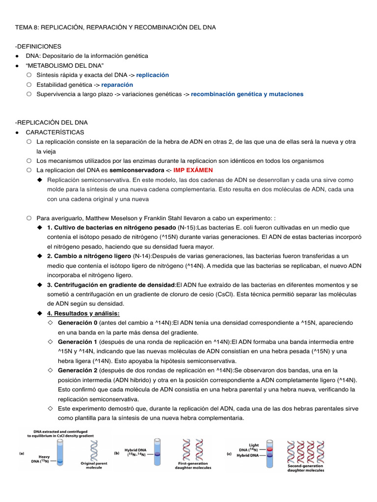 Replicación y Reparación del DNA | PDF | Replicación De Adn | Adn