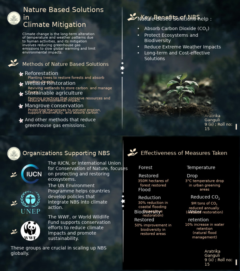Nature-Based Solutions for Climate Mitigation | PDF | Climate Change ...