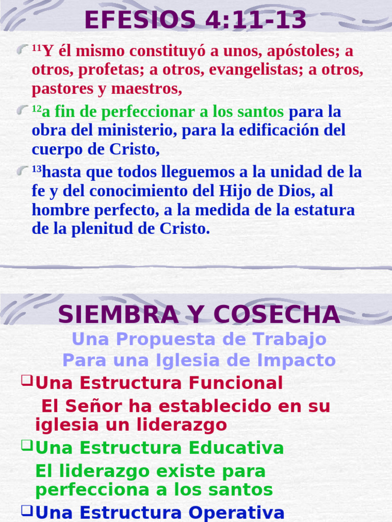 Estructura de Liderazgo en la Iglesia | PDF | Iglesia cristiana ...