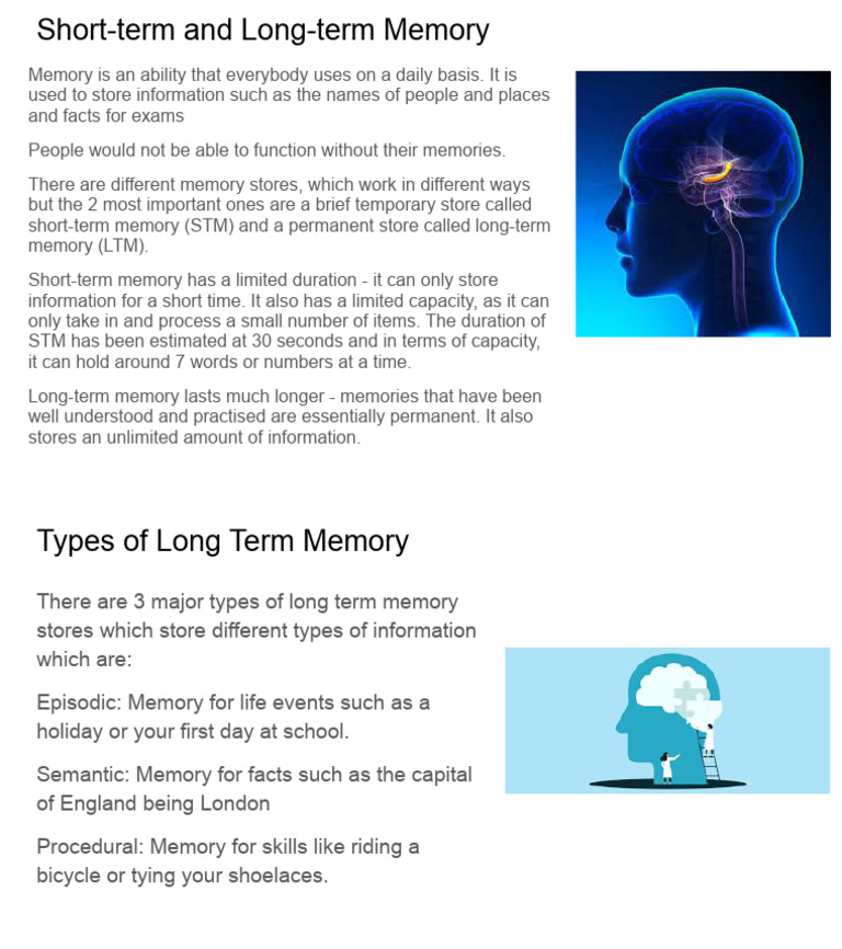 Understanding Short-term and Long-term Memory | PDF