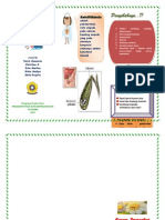 Leaflet Kolelitiasis