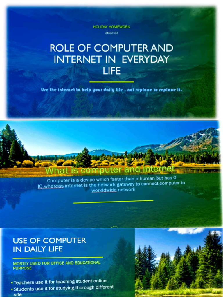 Role of Computers and Internet in Daily Life | PDF