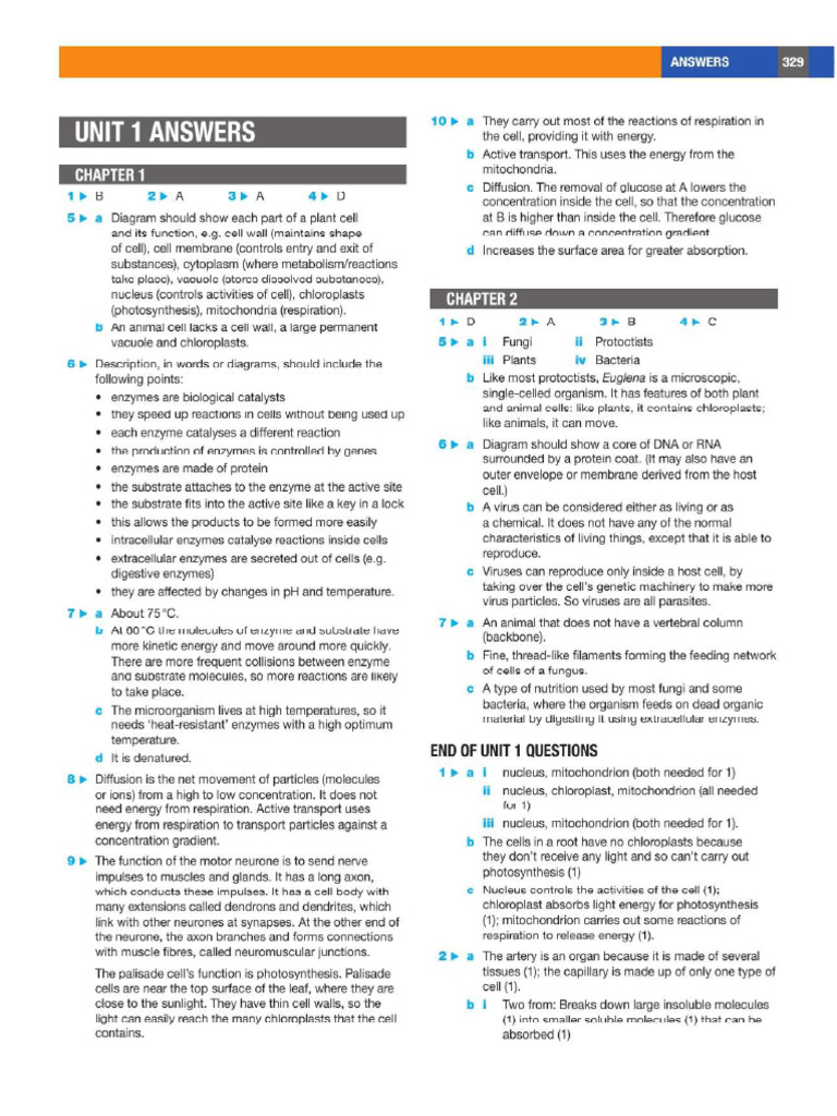 Answers | PDF