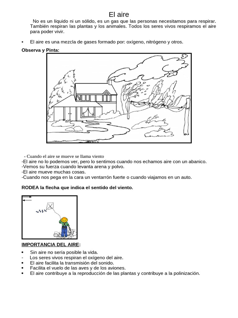 El Aire para Primero de Primaria | PDF