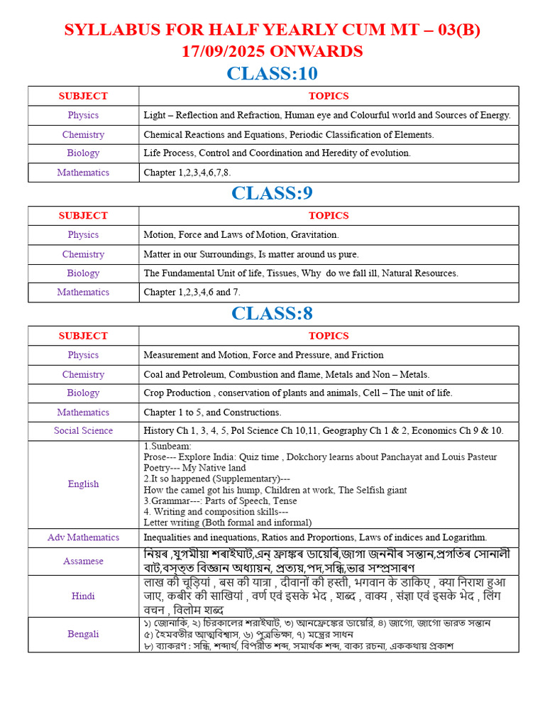 HS 2nd Year Half Yearly Syllabus 2025 | PDF | Noun | Grammar