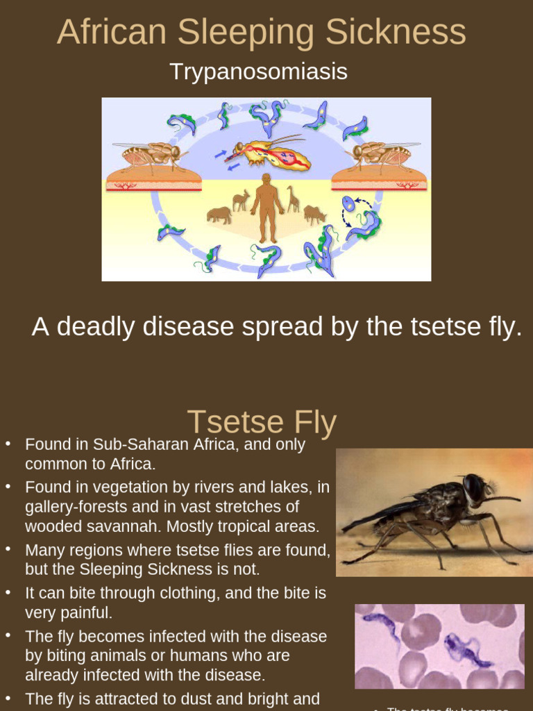 African Sleeping Sickness Overview | PDF | Immunology | Health Sciences