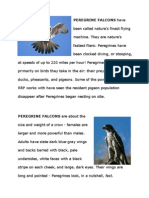 Peregrine Falcons Facts