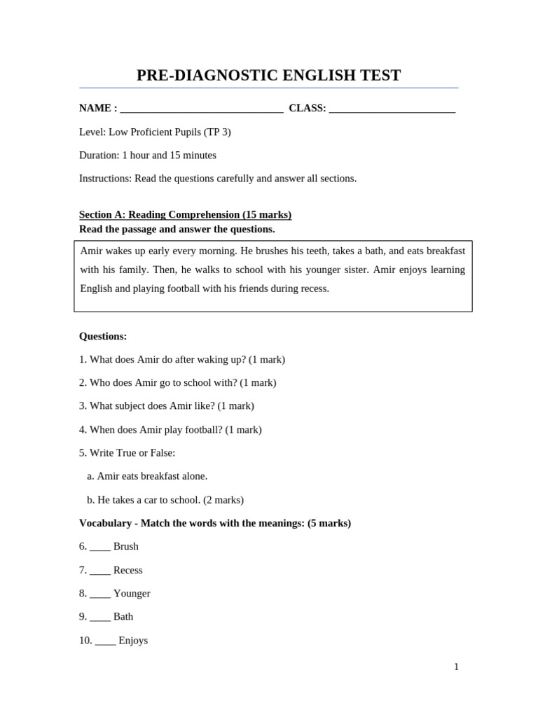 Pre-Diagnostic English Test for Pupils | PDF | English Language