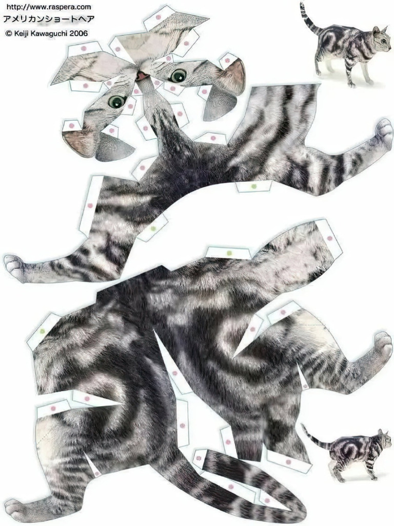 Cats | PDF