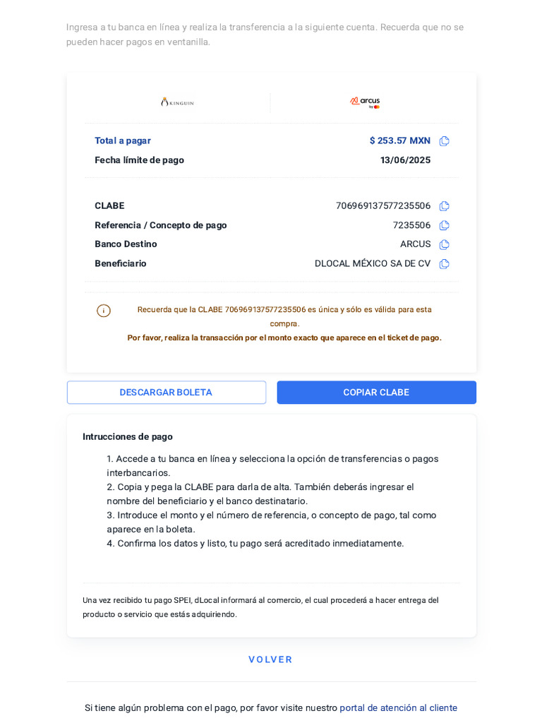 Instrucciones para Pago en Línea dLocal | PDF