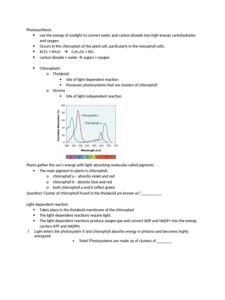 Photosynthesis and Cellular Respiration Explained | PDF | Cellular ...