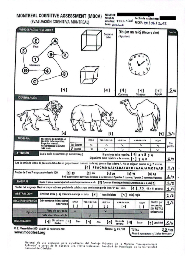 Moca. Protocolo. | PDF